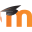 KPI Moodle